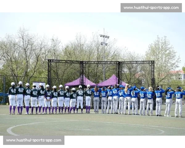 MLB世界冠军榜：谁将续写传奇，荣誉花落谁家！